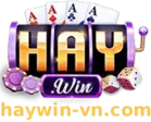 haywin-logo